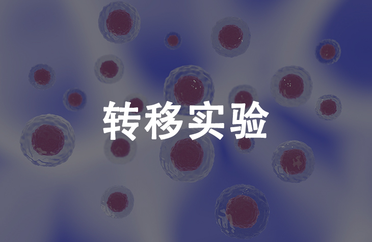 转移实验
