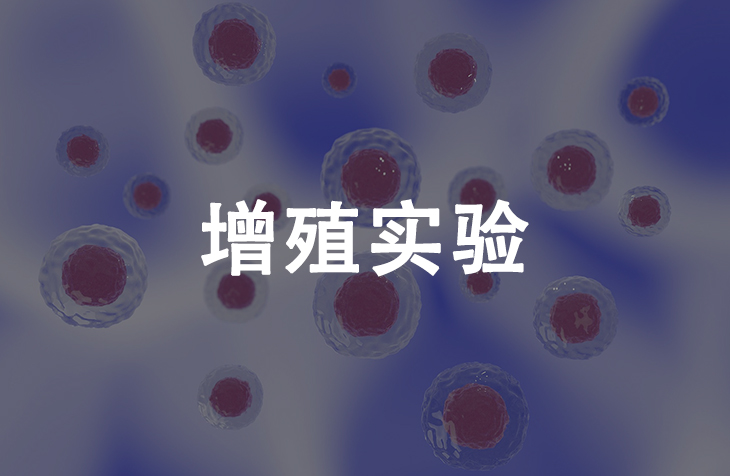 增殖实验