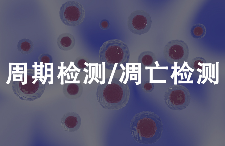 周期检测 /凋亡检测