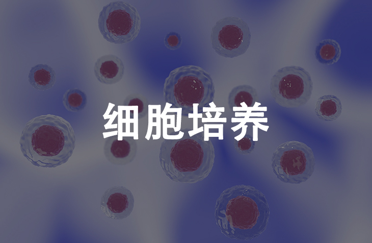 细胞培养