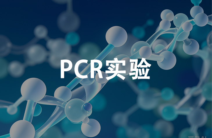 pcr实验