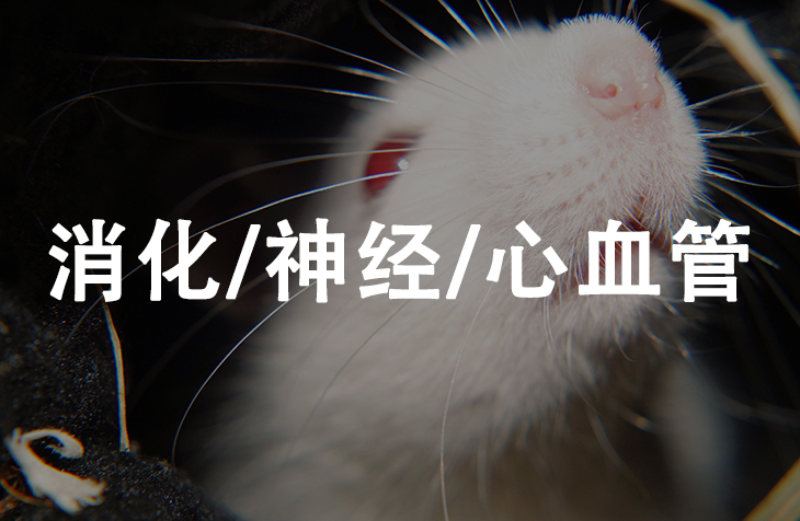 消化/神经/心血管