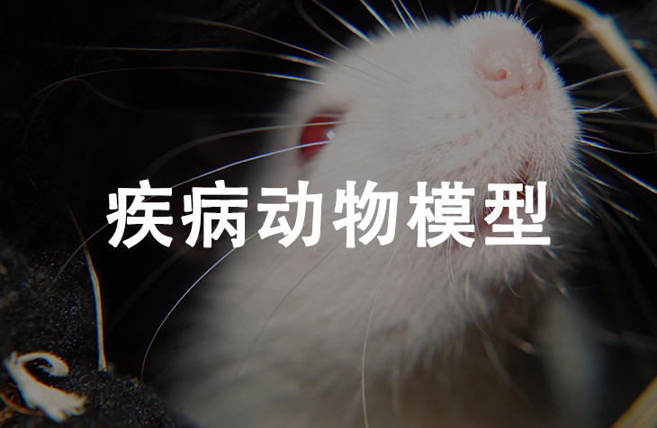 疾病动物模型