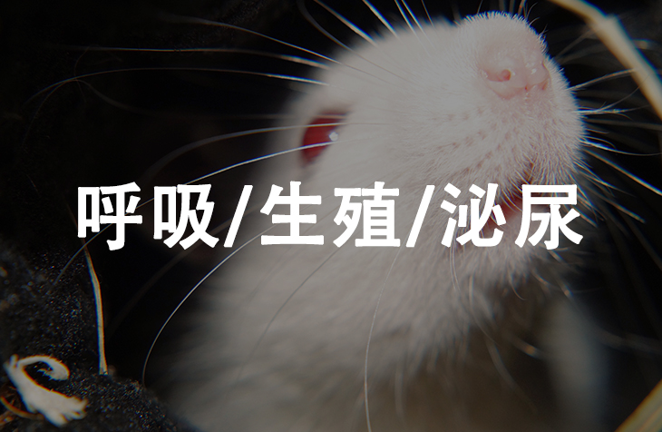 呼吸/生殖/泌尿