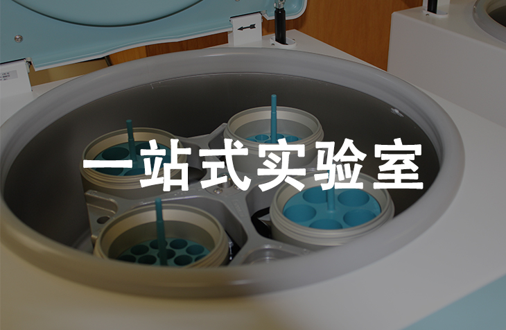 一站式实验室