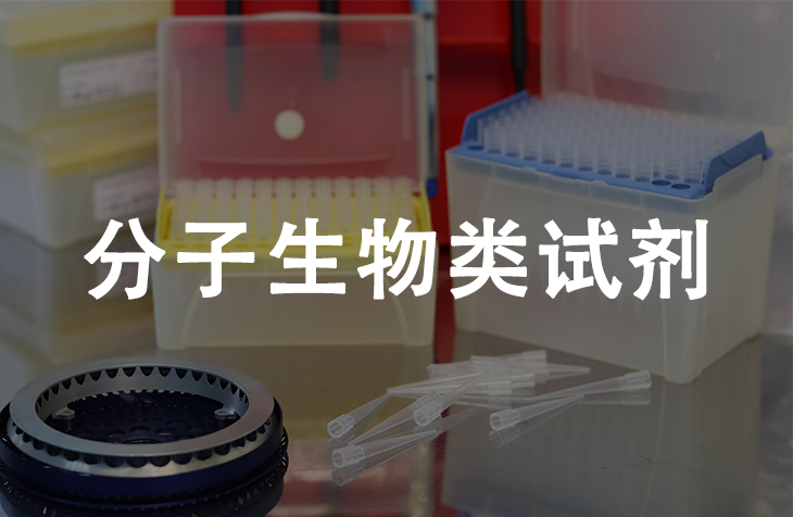 分子生物类试剂