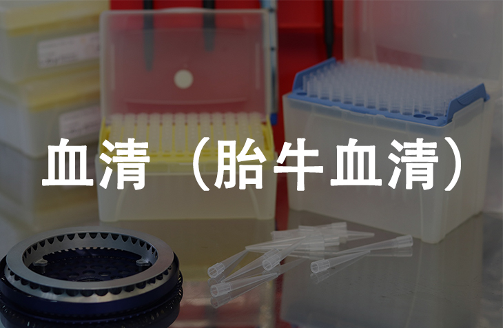 血清（胎牛血清）