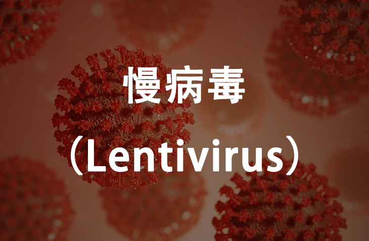 慢病毒（Lentivirus）