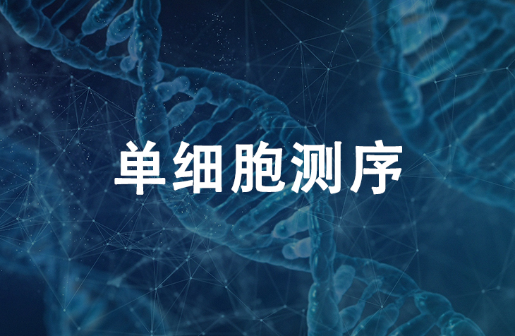 单细胞测序