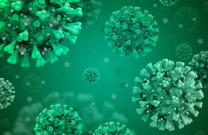 腺相关病毒(AAV)