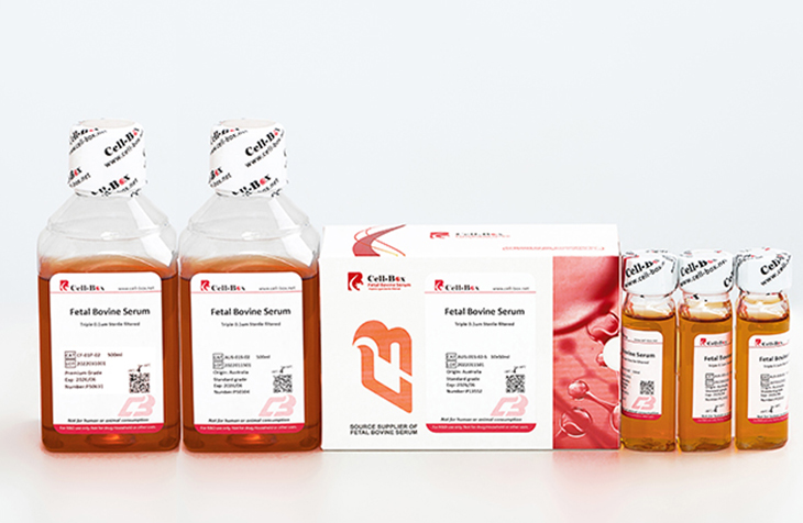 胎牛血清