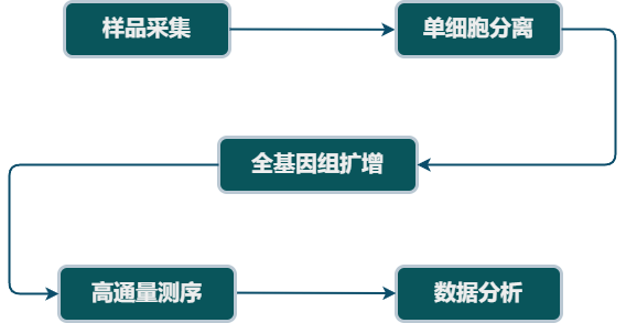 单细胞测序