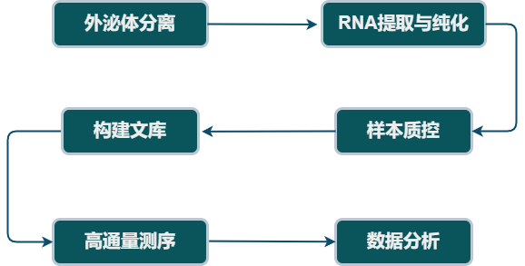 外泌体转录组测序