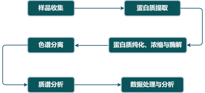 4D-DIA蛋白质组学