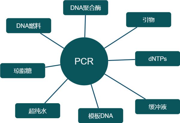 PCR实验相关